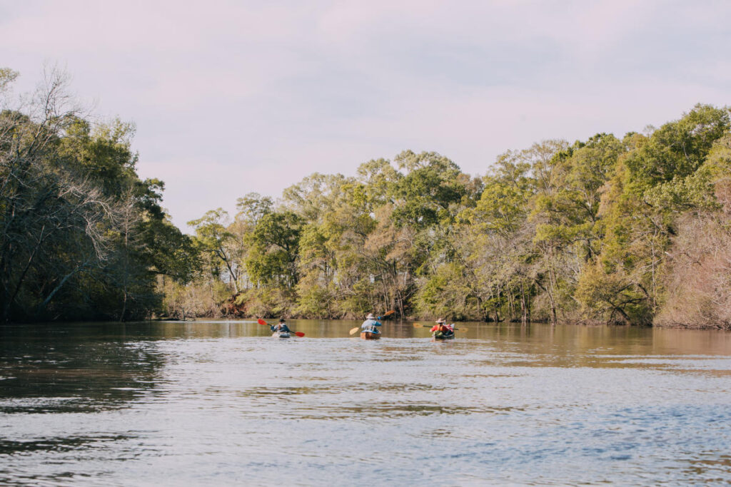 Bayou Vermilion